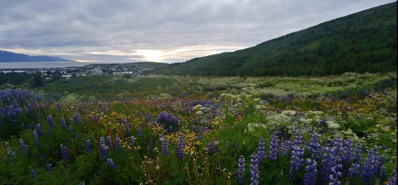 B&B Rooms Husavik 3 Bagian luar foto