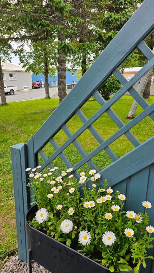 B&B Rooms Husavik 3 Bagian luar foto